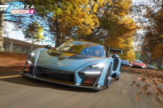 forza 1 1