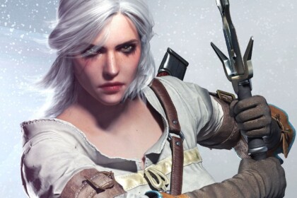 the witcher