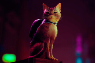 stray